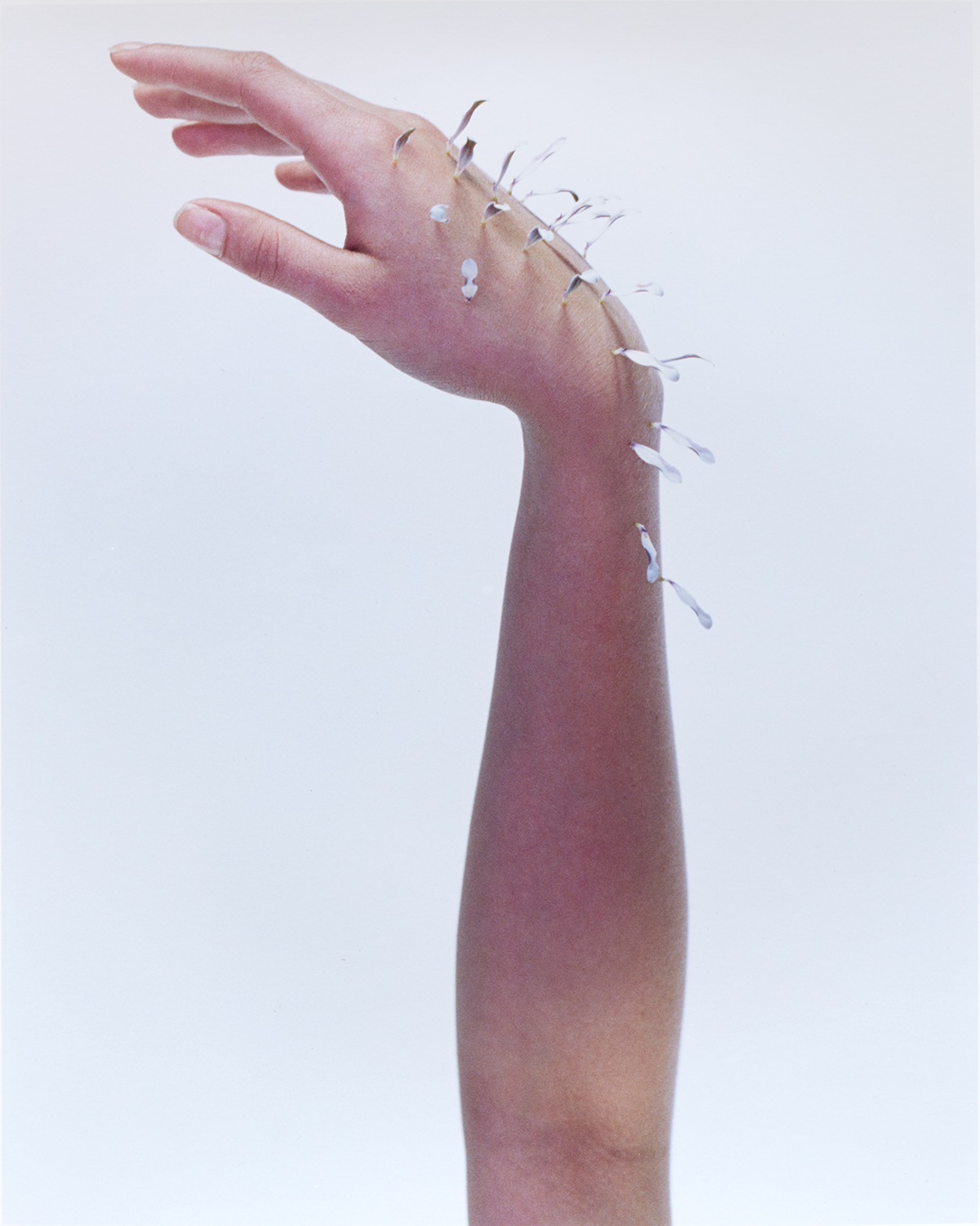 WEB_FLOWER Clinic Arm_large_1200x1500px_(4-5)