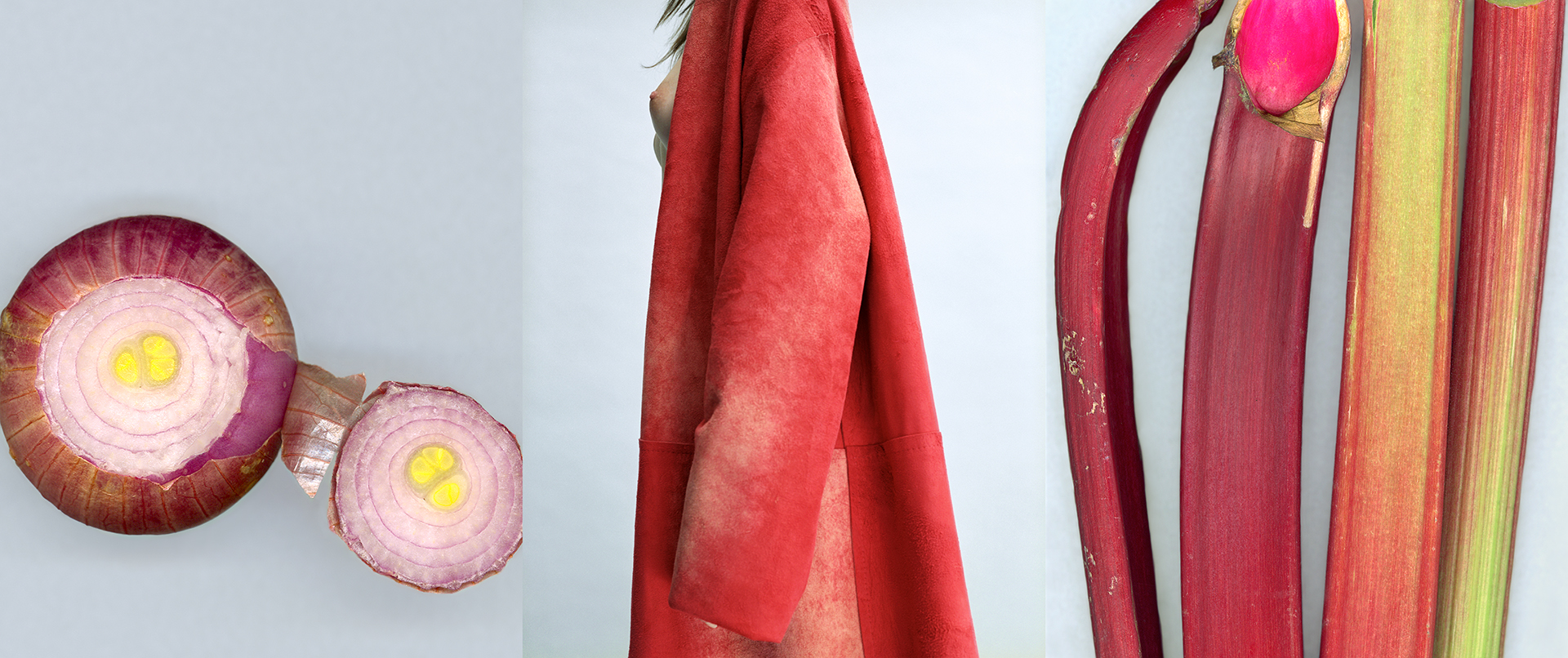 WEB_PINUP_Trip-Onion_medium_1920x806px